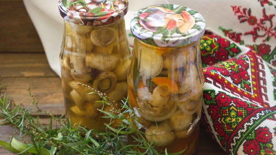 Рецепт шампиньонов на зиму