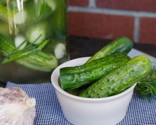 Быстрые малосольные огурцы в банке