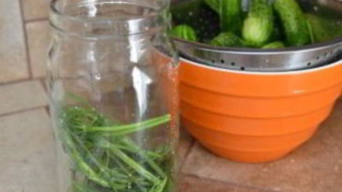 быстрые малосольные огурцы в банке