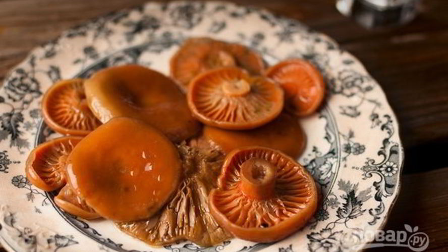 Рецепт грибов соленых