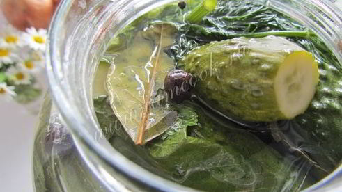 хрустящие малосольные огурцы