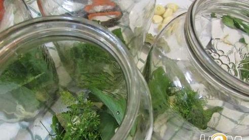 консервированные помидоры