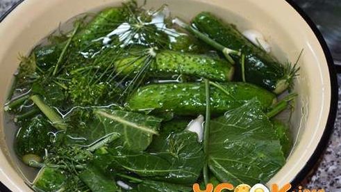 малосольные хрустящие огурчики