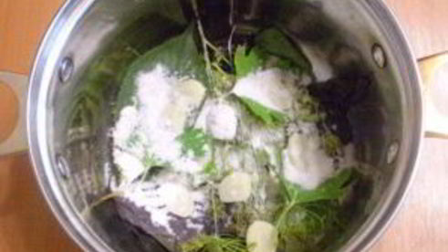 малосольные огурчики в кастрюле