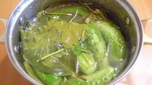 малосольные огурчики в кастрюле