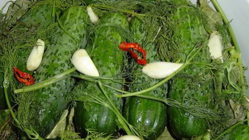 малосольные огурчики