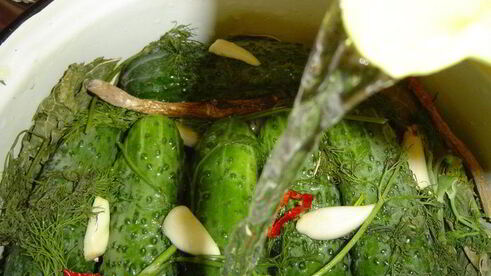 малосольные огурчики