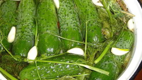 малосольные огурчики