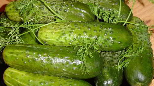 малосольные огурчики