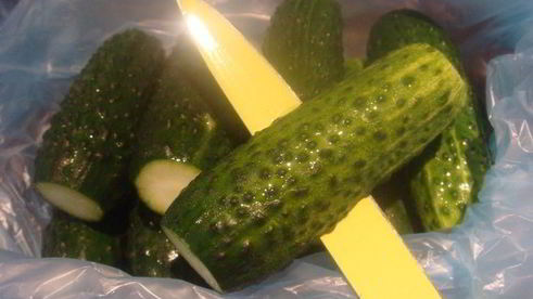 малосольные огурцы без рассола