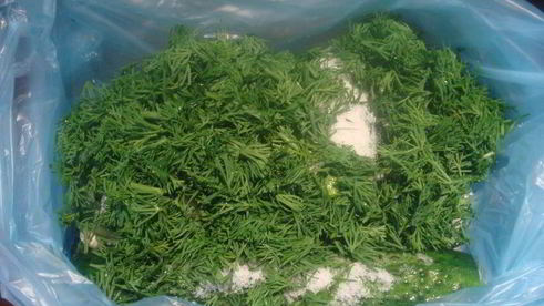 малосольные огурцы без рассола