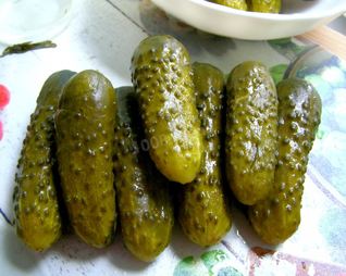 Малосольные огурцы быстрой засолки