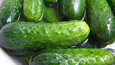 малосольные огурцы быстрой засолки