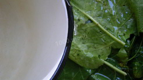 малосольные огурцы быстрой засолки