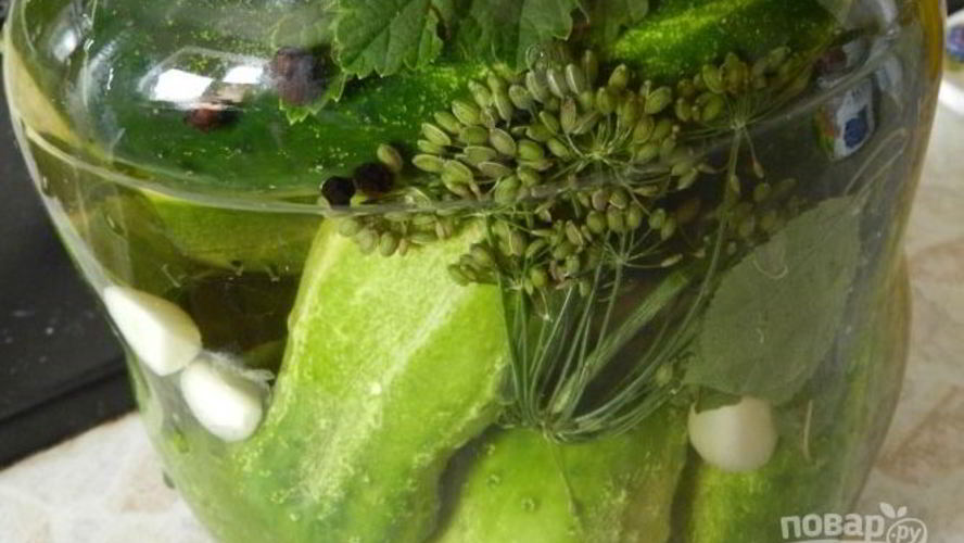 Рецепт малосольных огурцов на зиму
