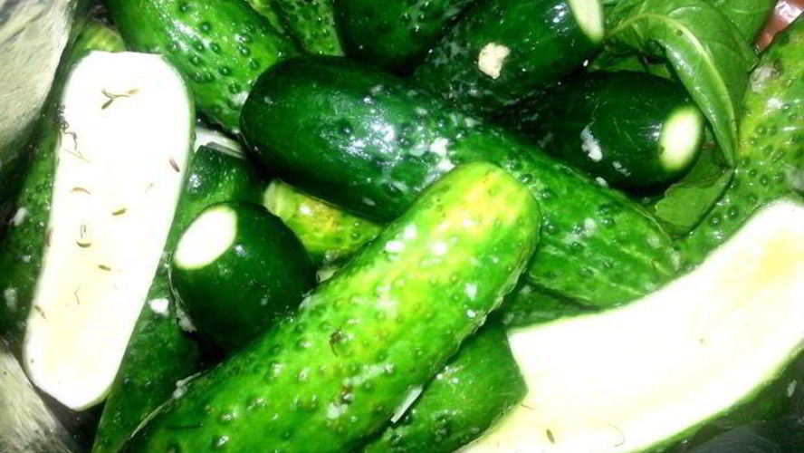 Рецепт малосольных огурцов всухую