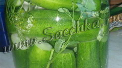 огурцы малосольные с дикими травами