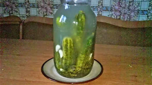 огурцы малосольные