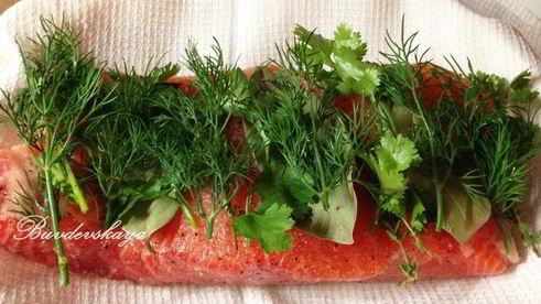 слабосоленая семга с пряными травами