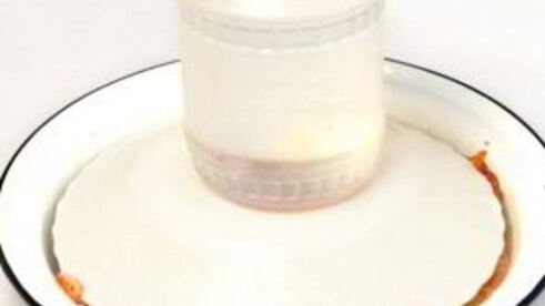 соленая форель