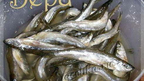 соленая корюшка
