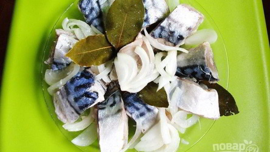 Рецепт соленой скумбрии в рассоле