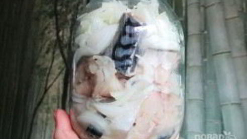 соленая скумбрия в рассоле