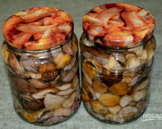 Соленые белые грибы