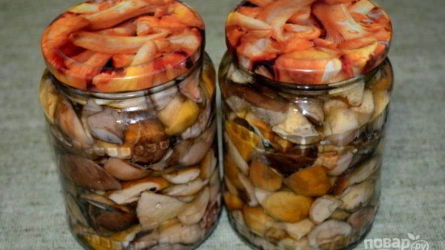 Рецепт соленых белых грибов