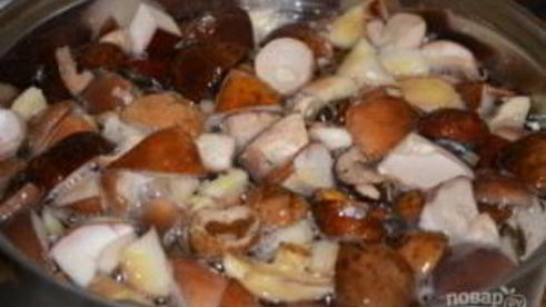 соленые белые грибы