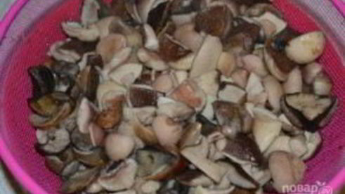 соленые белые грибы