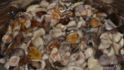 соленые белые грибы