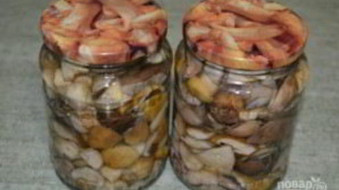 соленые белые грибы