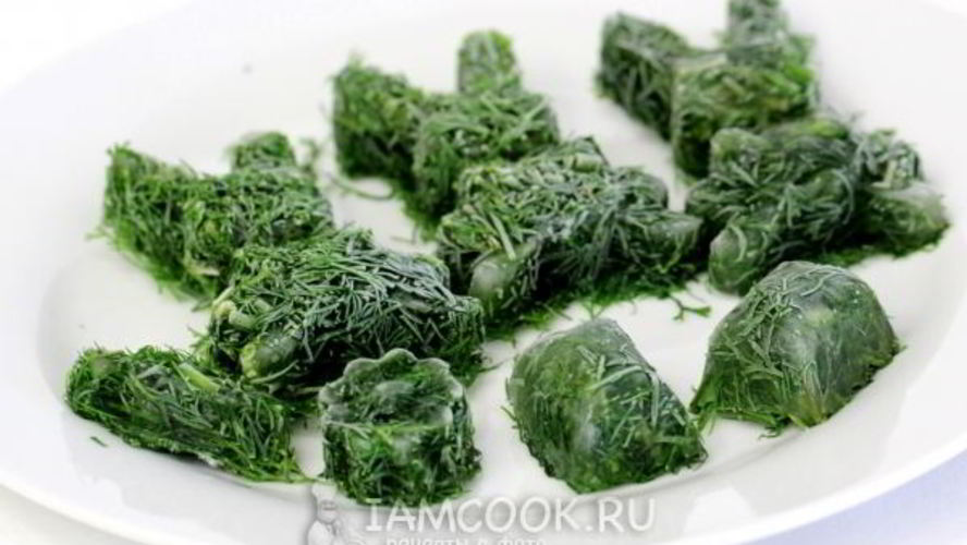 Рецепт укропа на зиму