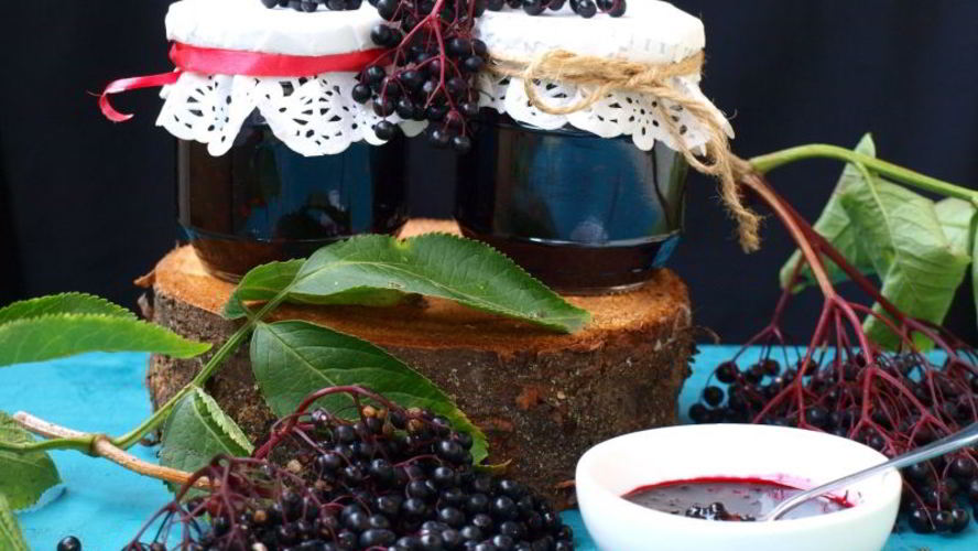 Рецепт варенья из черной бузины