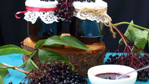 варенье из черной бузины