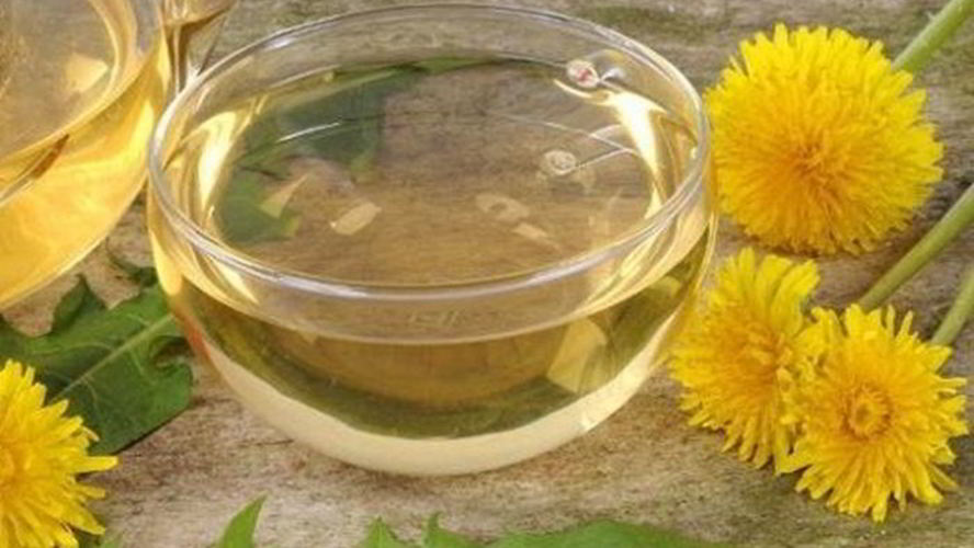 Рецепт варенья из одуванчиков на меду