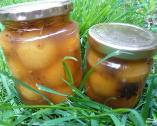 Яблоки, моченые на зиму