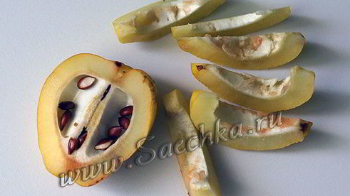 японская айва на зиму