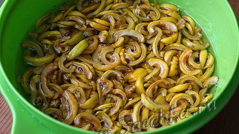 японская айва на зиму