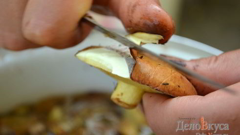 заготовка маслят