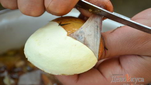 заготовка маслят