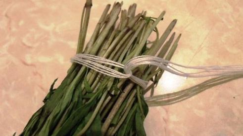 заготовка пряности — чабер, эстрагон