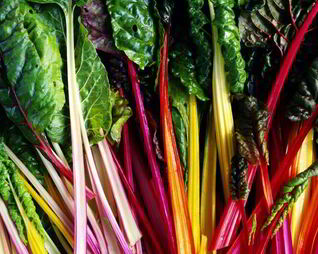 Заготовки из мангольда