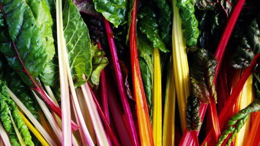 Рецепт заготовок иза мангольды