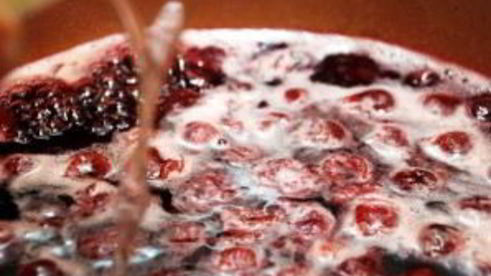 желе из вишни без косточек на зиму