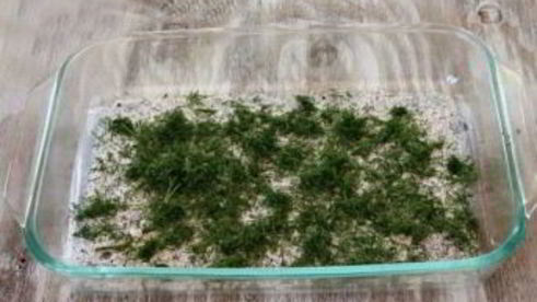 бутерброды с форелью