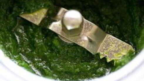 горячий бутерброд с чатни