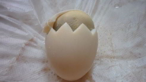 фаршированные яйца цыплята