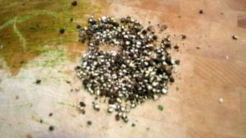 маринованная свинина